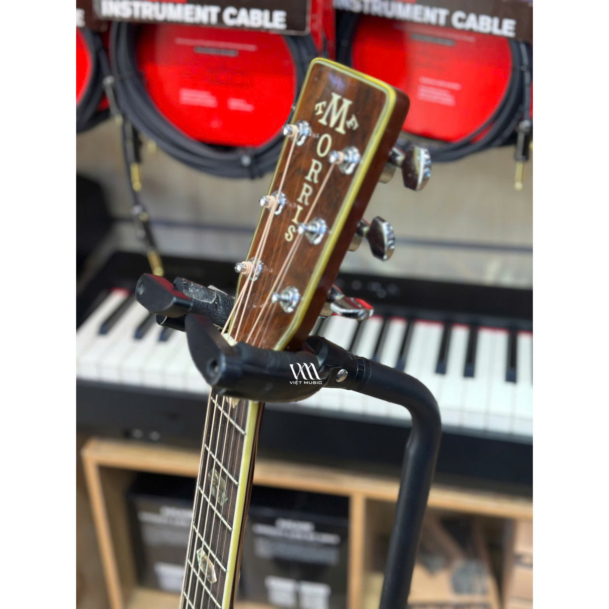 Đàn Guitar Acoustic Morris W60