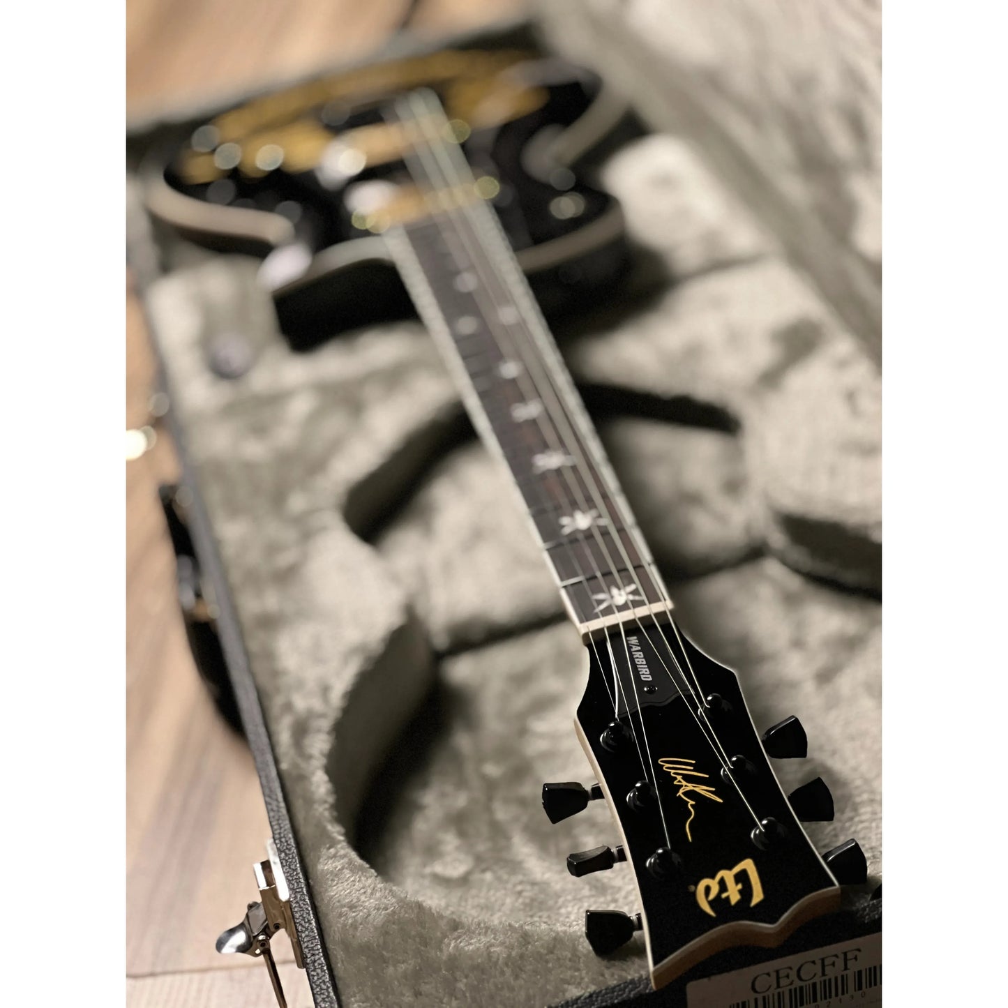 Đàn Guitar Điện ESP Will Adler Warbird Distressed, Distressed Black w/ Warbird Graphic