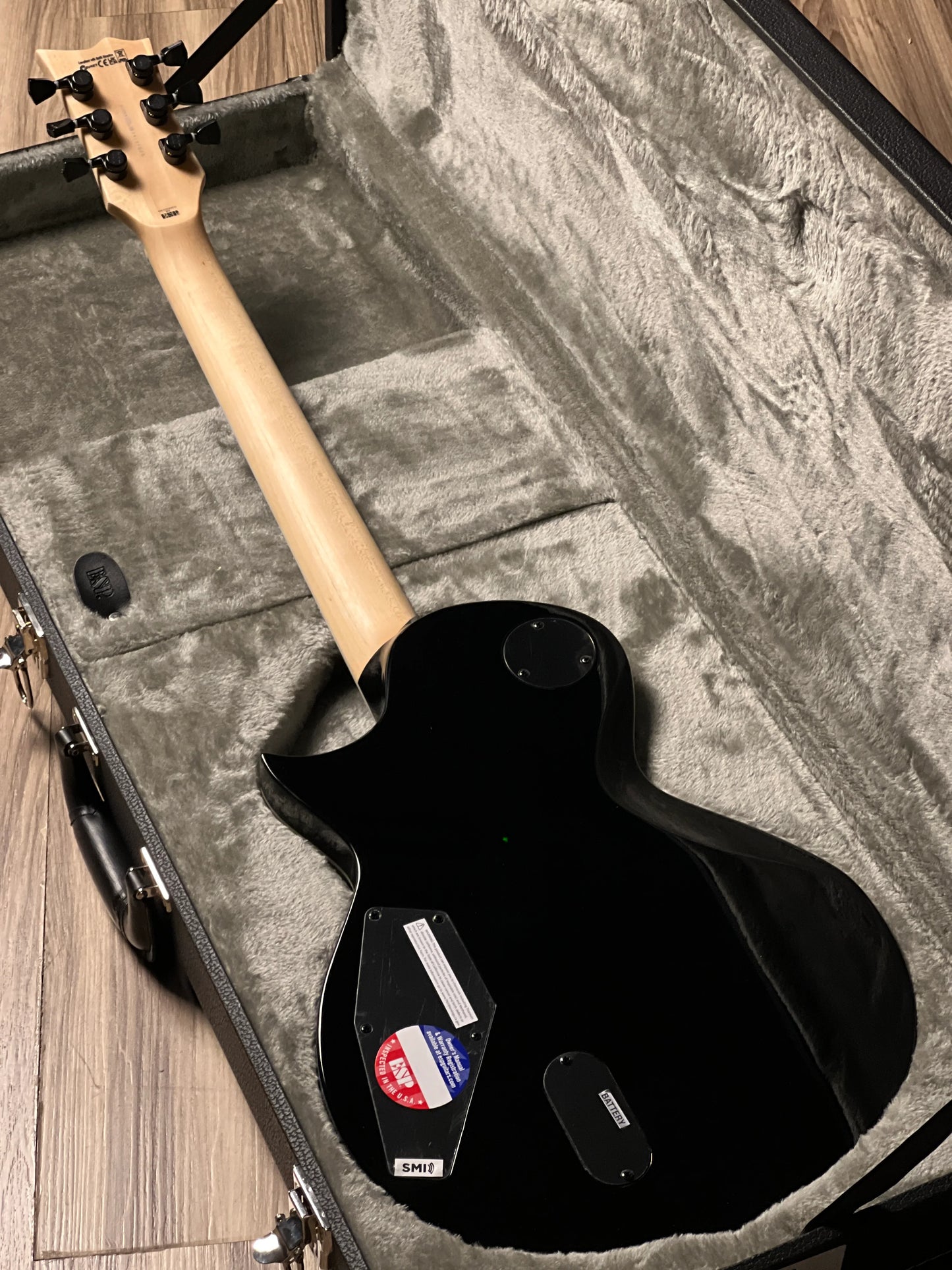 Đàn Guitar Điện ESP Will Adler Warbird Distressed, Distressed Black w/ Warbird Graphic