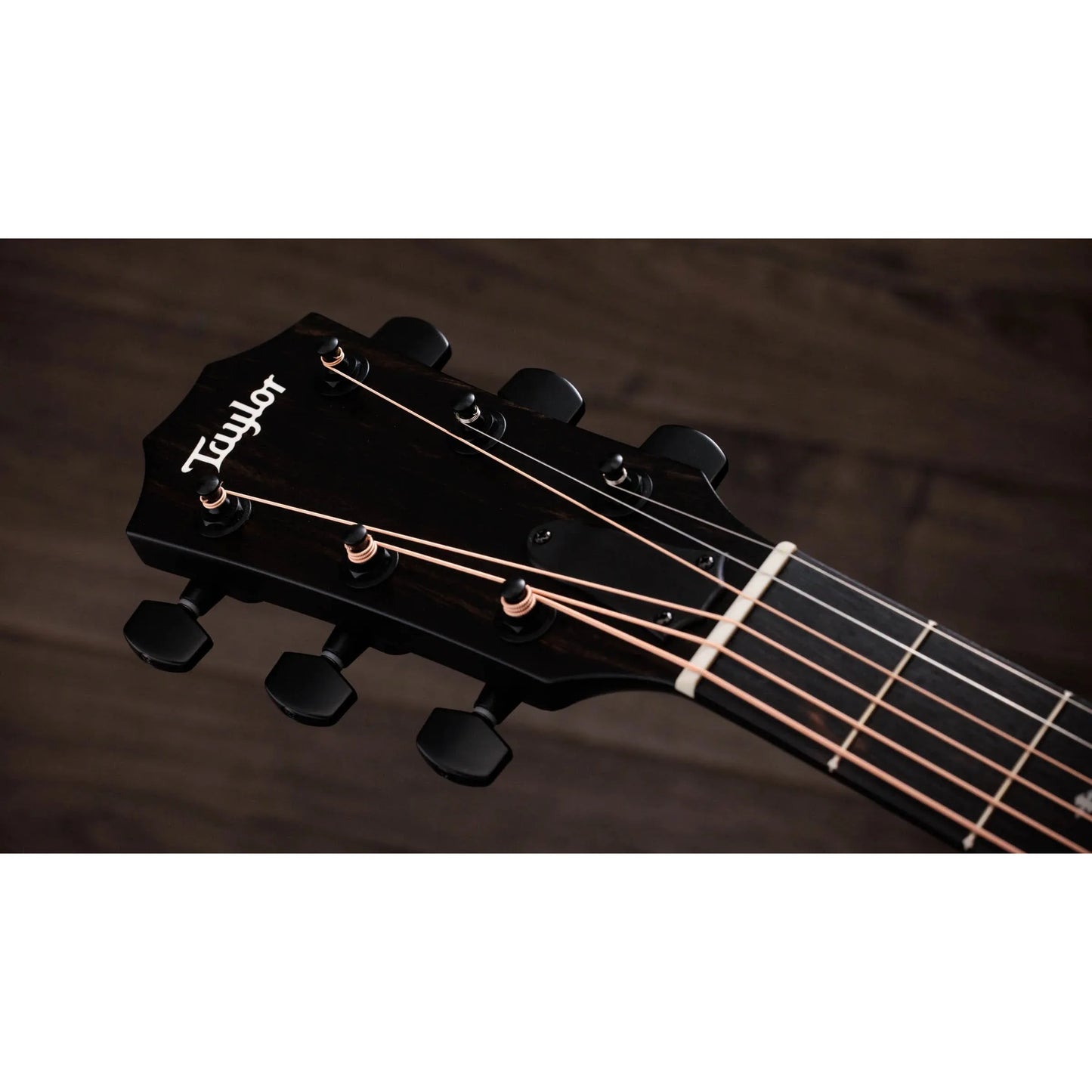 Đàn Guitar Acoustic Taylor 214ce Plus Special Edition