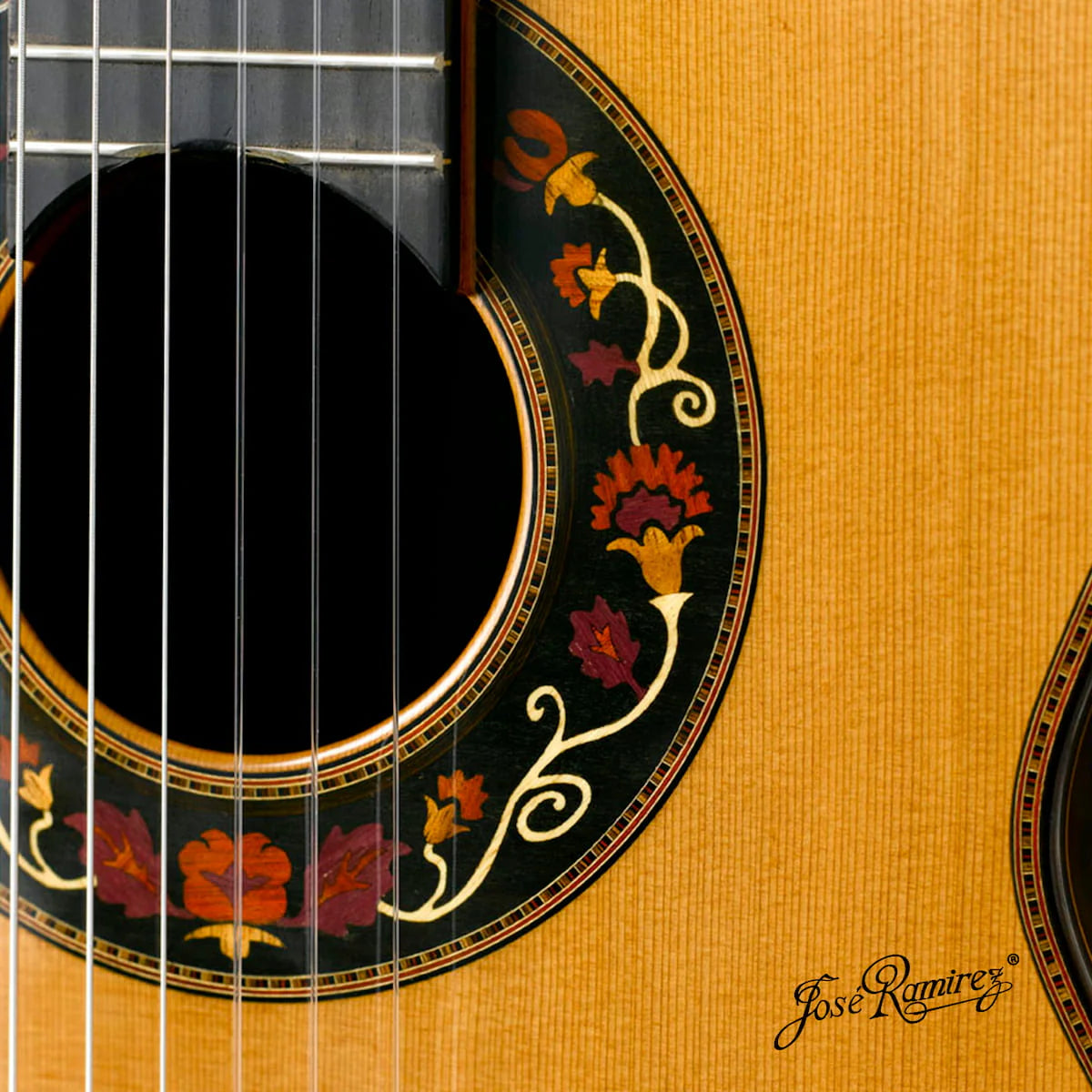 Đàn Guitar Classic Jose Ramirez Aniversario 1A Madagascar Rosewood - Cedar
