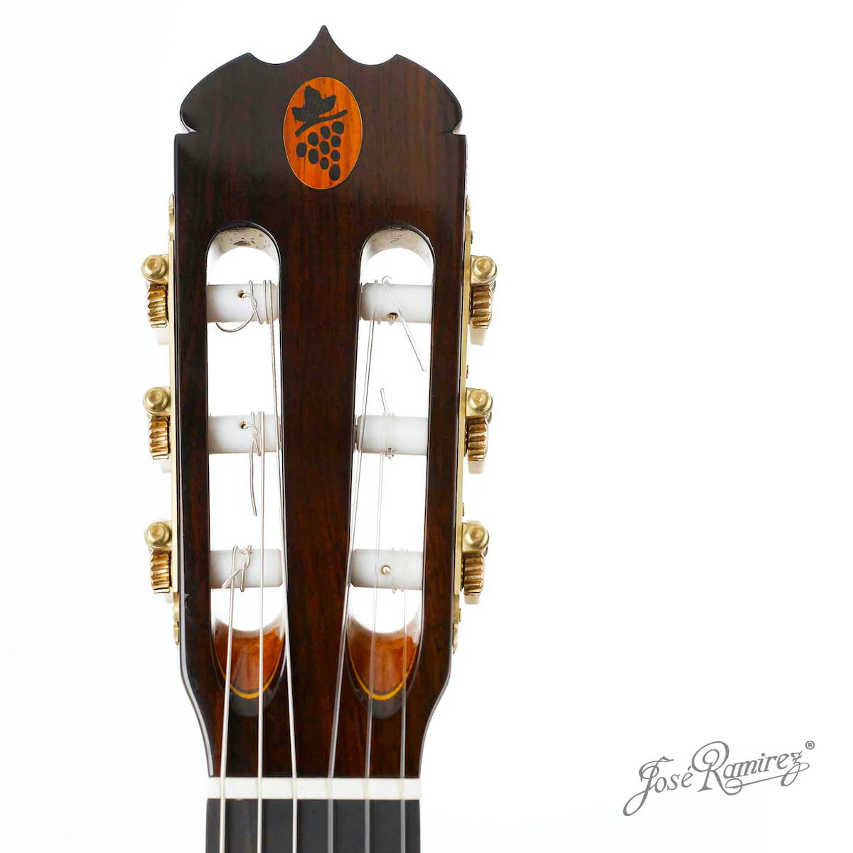 Đàn Guitar Classic Jose Ramirez Tradicional Del Vino 1A India Rosewood & Coral - Cedar