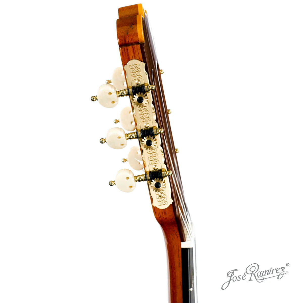 Đàn Guitar Classic Jose Ramirez Aniversario 1A Madagascar Rosewood - Cedar