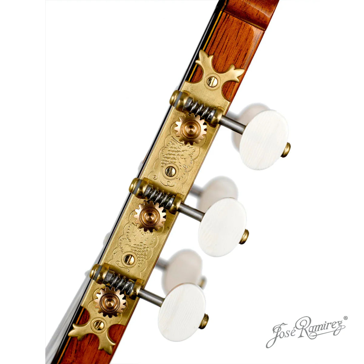 Đàn Guitar Classic Jose Ramirez Tradicional Del Vino 1A India Rosewood & Coral - Cedar