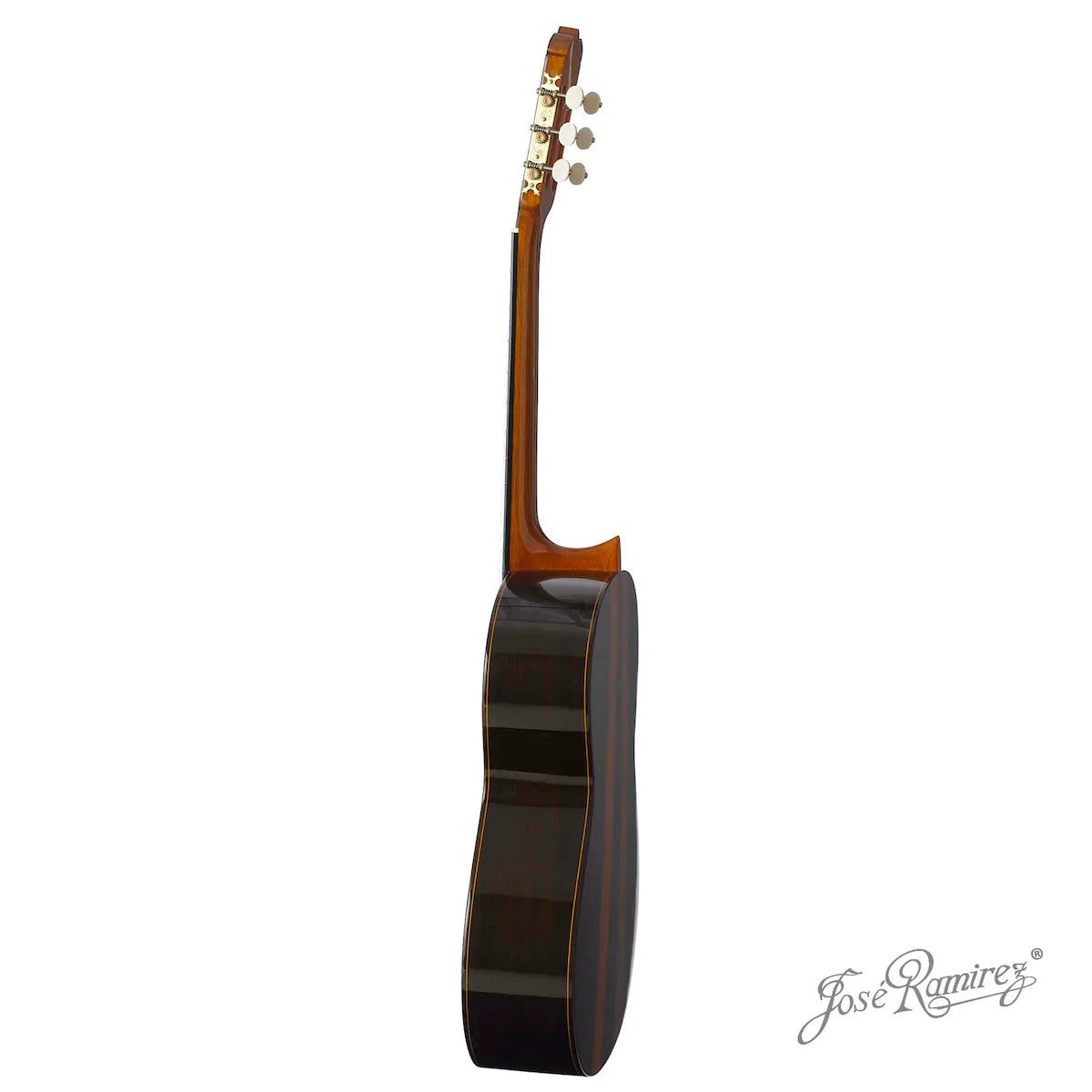 Đàn Guitar Classic Jose Ramirez Tradicional Del Vino 1A India Rosewood & Coral - Cedar