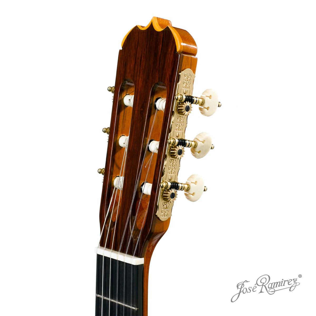 Đàn Guitar Classic Jose Ramirez Aniversario 1A Madagascar Rosewood - Cedar