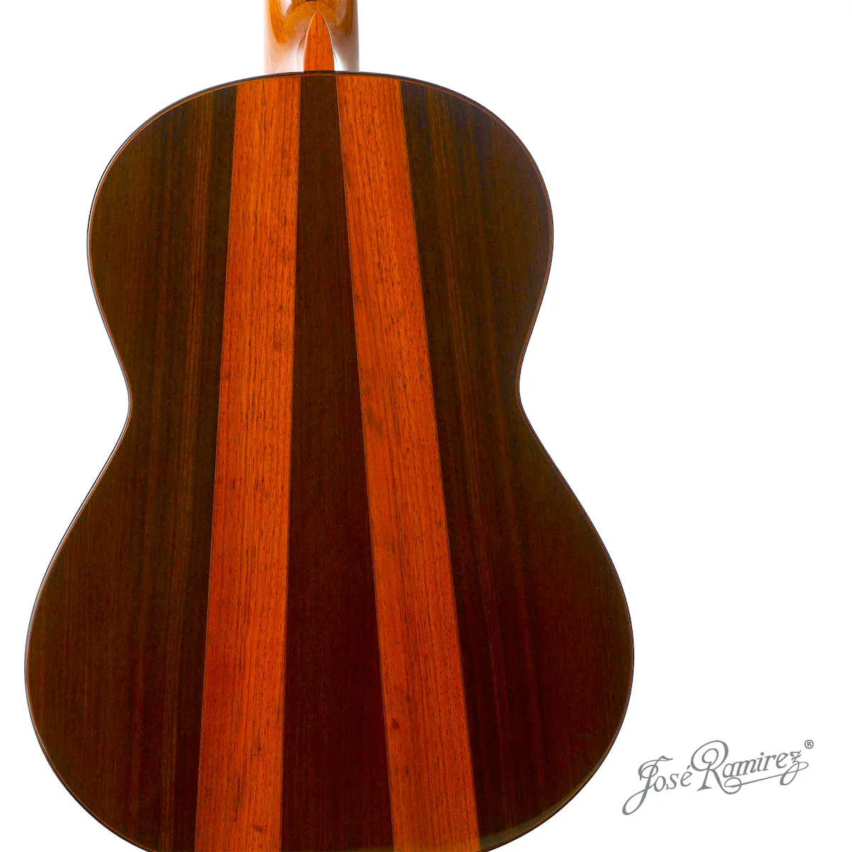 Đàn Guitar Classic Jose Ramirez Tradicional Del Vino 1A India Rosewood & Coral - Cedar