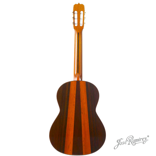Đàn Guitar Classic Jose Ramirez Tradicional Del Vino 1A India Rosewood & Coral - Cedar