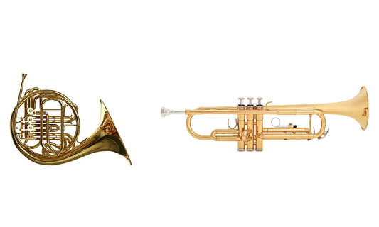 So Sánh Kèn Trumpet Với Kèn French Horn