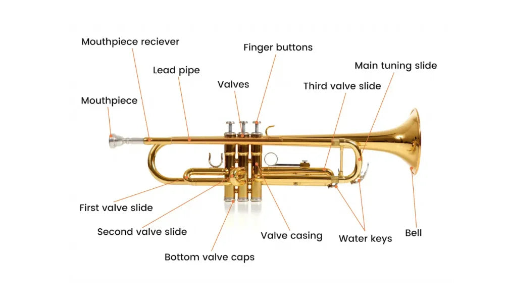 Các Bộ Phận Của Kèn Trumpet