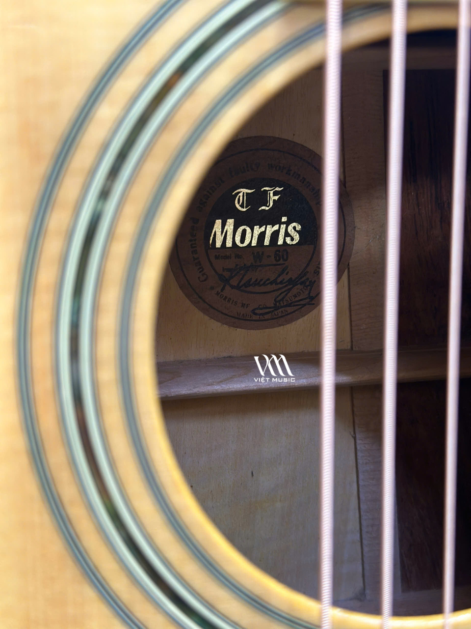 Đàn Guitar Acoustic Morris W60