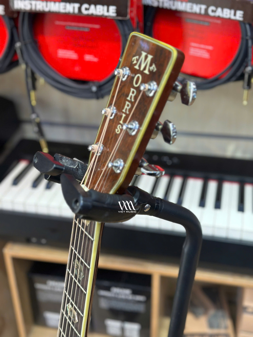 Đàn Guitar Acoustic Morris W60