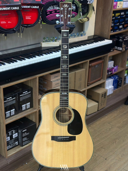 Đàn Guitar Acoustic Morris W60