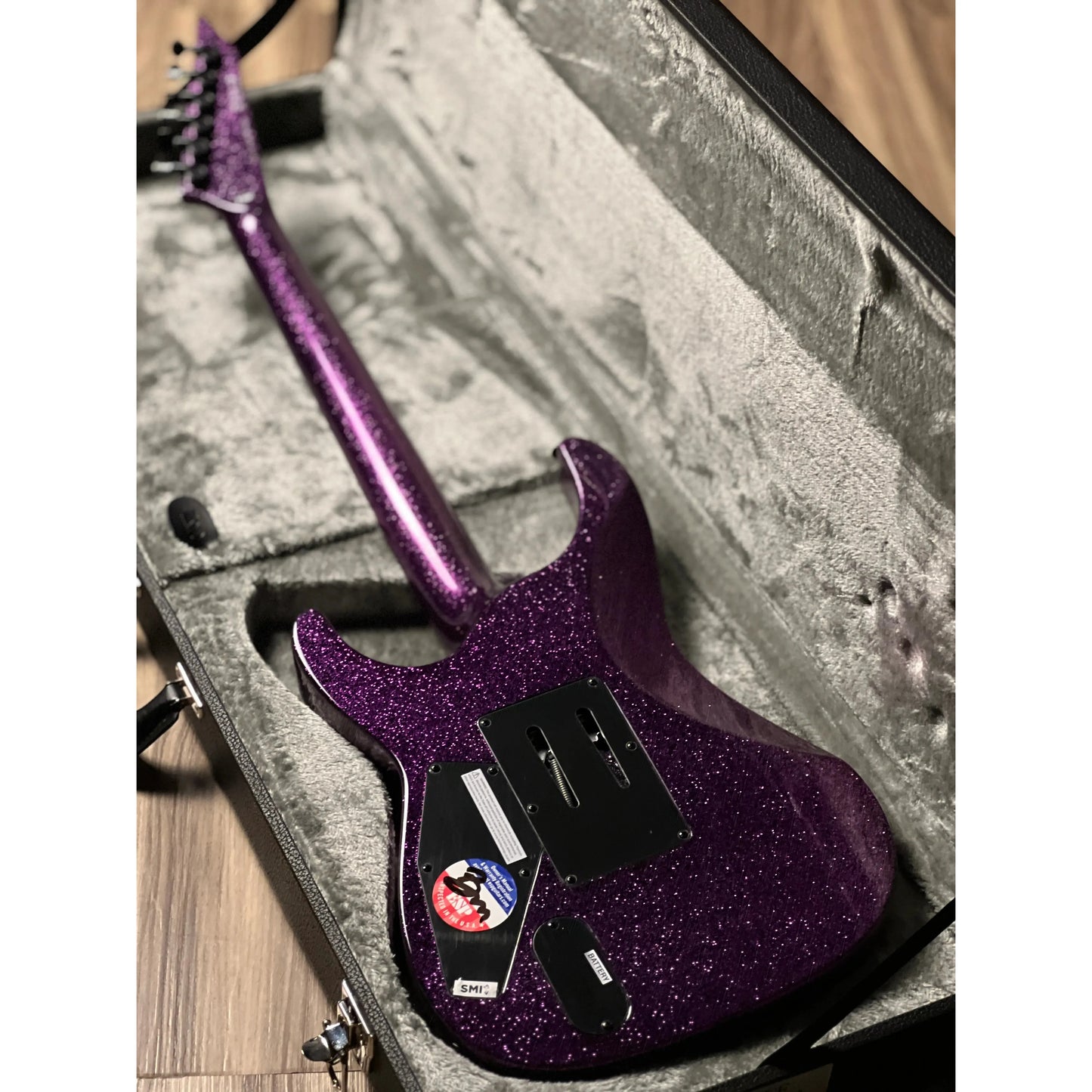 Đàn Guitar Điện ESP LTD Kirk Hammett Signature KH-602 HH, Purple