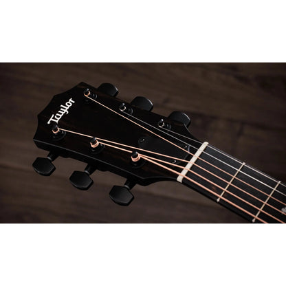 Đàn Guitar Acoustic Taylor 214ce Plus Special Edition