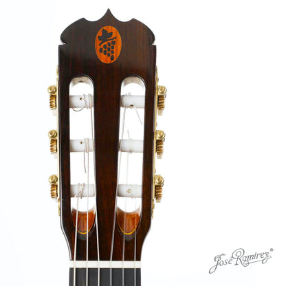 Đàn Guitar Classic Jose Ramirez Tradicional Del Vino 1A India Rosewood & Coral - Cedar