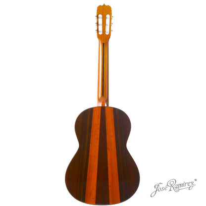 Đàn Guitar Classic Jose Ramirez Tradicional Del Vino 1A India Rosewood & Coral - Cedar