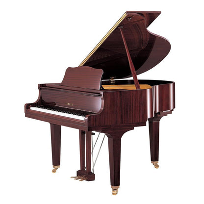 Grand Piano Yamaha GB1K PE-King Music