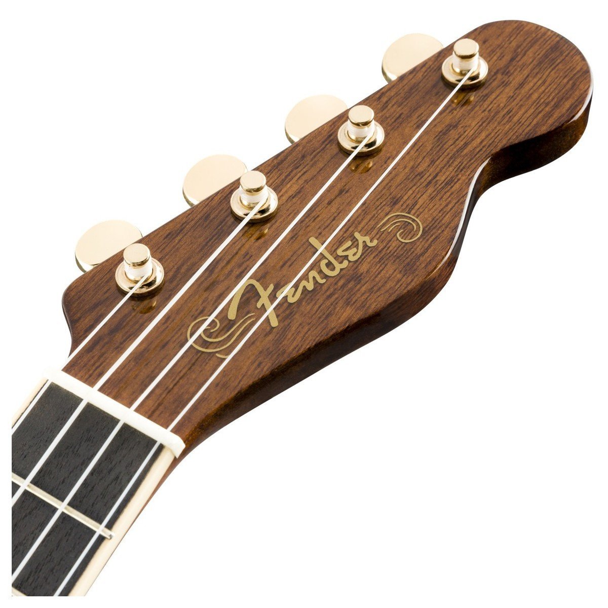 Đàn Ukulele Fender Grace VanderWaal Signature Walnut FB Concert-King Music