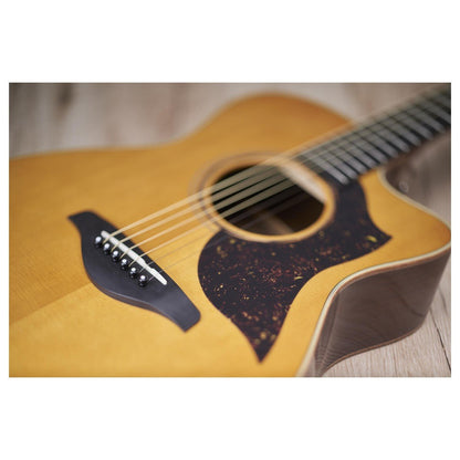 Đàn Guitar Acoustic Yamaha AC5M ARE Concert Mahogany-King Music