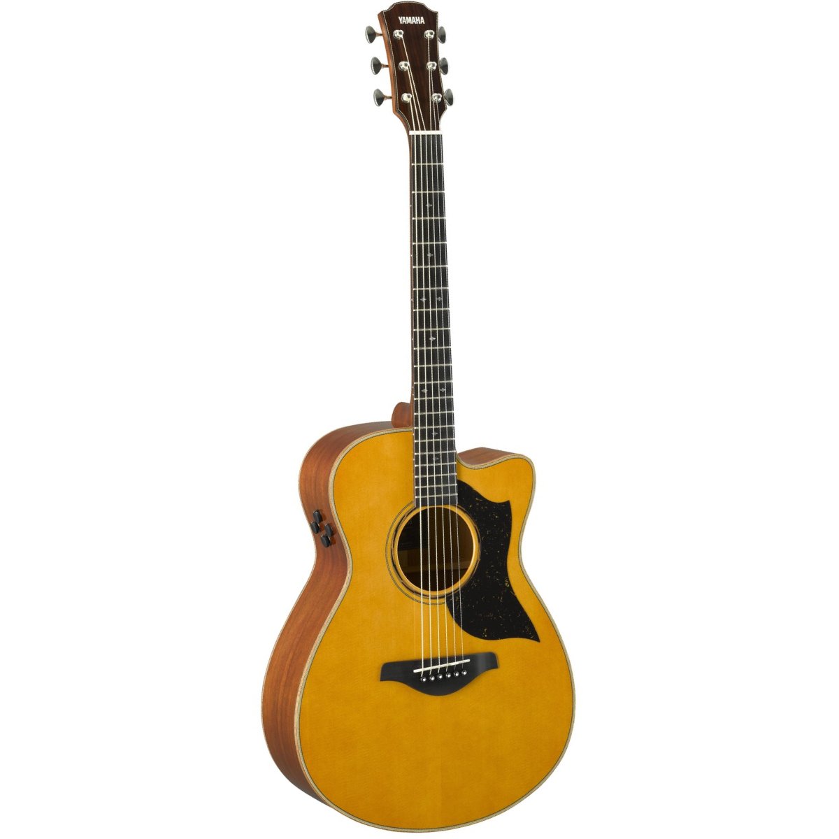 Đàn Guitar Acoustic Yamaha AC5M ARE Concert Mahogany-King Music